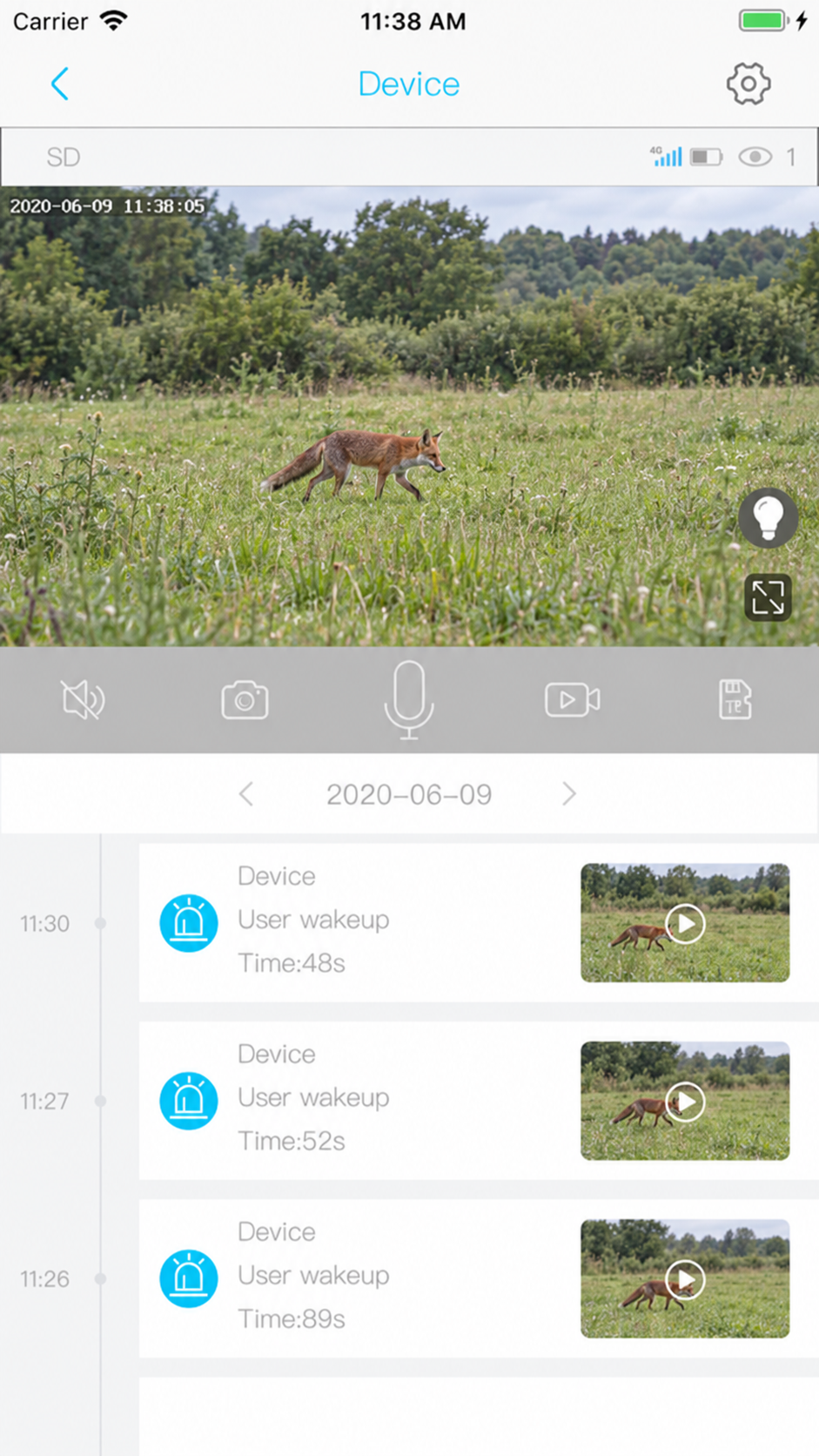 Démonstration UBox avec un renard dans un champ — scène animalière ajoutée par IA